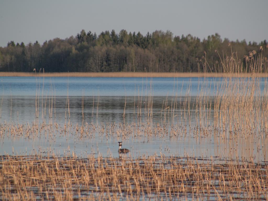 Mokko Lakehouse Kuremaa Экстерьер фото