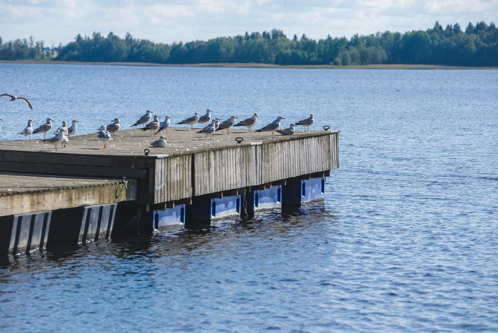 Mokko Lakehouse Kuremaa Экстерьер фото